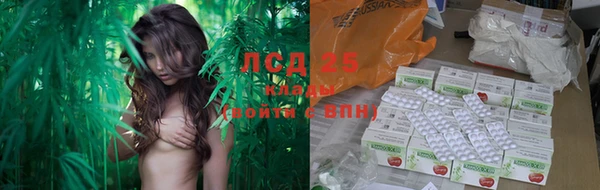 МДПВ Гусев