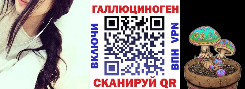 Купить где  Приморск  Галлюциногенные грибы Psilocybine cubensis 